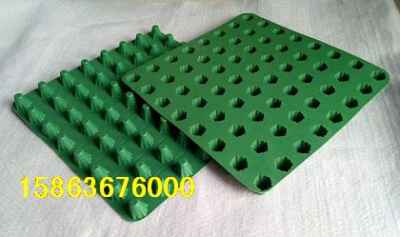 湖北十堰樓頂綠化塑料排水板市場迎來新機遇，建筑建材行業(yè)綠色轉(zhuǎn)型提速